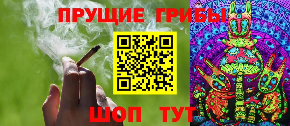 Дедовск  Псилоцибиновые грибы Cubensis  Вход с VPN 