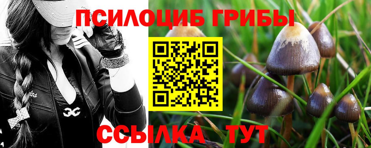 Галлюциногенные грибы ЛСД Дедовск